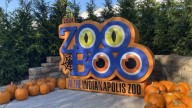 ZooBoo returns to the Indianapolis Zoo, lasts through early November