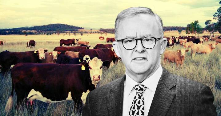 How agriculture will be key to Australia's net