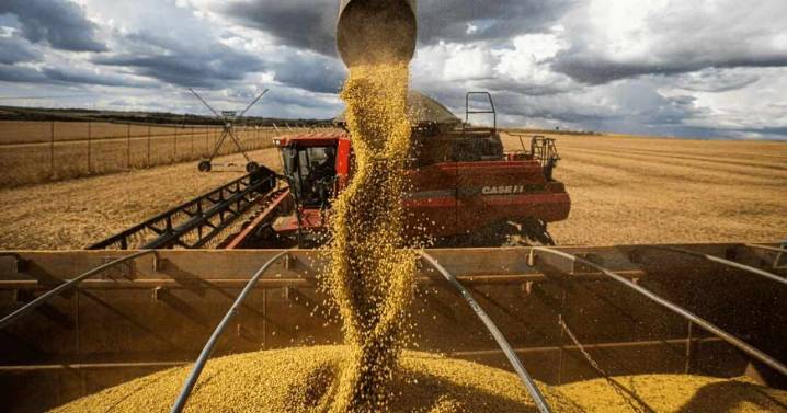 El Gobierno llevó a 0% las retenciones al campo hasta fines de octubre: los detalles del decreto