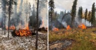 Planned controlled burn set for Nenana Ridge Road near Fairbanks