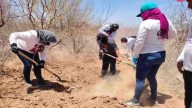 ‘Bitácoras Coordinadas’, un repositorio de memoria y apoyo para colectivos de búsqueda de desaparecidos