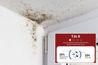 U.S. homeowners express hidden mold concerns, new survey shows