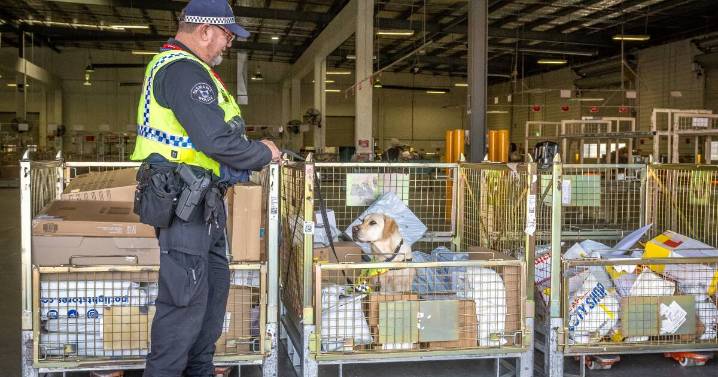 Crime Stoppers tackles Tasmania's postal drug trafficking