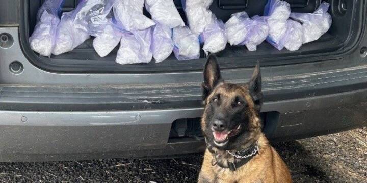 Portland police seize nearly $2 million in illegal drugs, make arrests