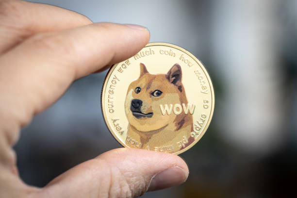 Here’s How Much Dogecoin Whales Bought In Only One Week