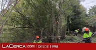 La CHT comienza los trabajos de conservación y mantenimiento de cauces en la provincia de Guadalajara