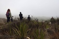 En el corto ‘Guayule, ladrillo y cal’ cuentan la historia de la icónica colonia de Saltillo
