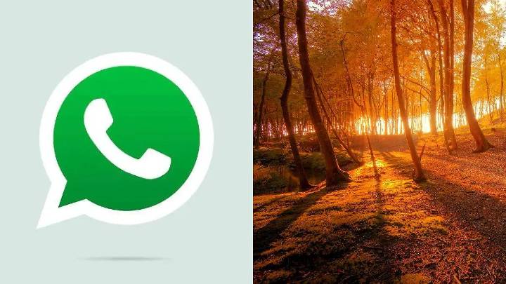 Activa el estilo otoñal en WhatsApp con estos simples trucos