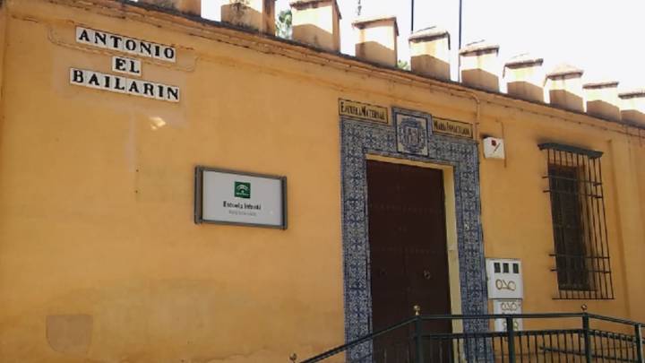 Localizan tres pavos muertos en una guardería del Real Alcázar
