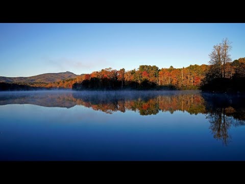 Fall foliage makes colorful return to North Carolina