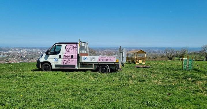 AD FEATURE: Bristol Dog Field gives your furry friend the paw