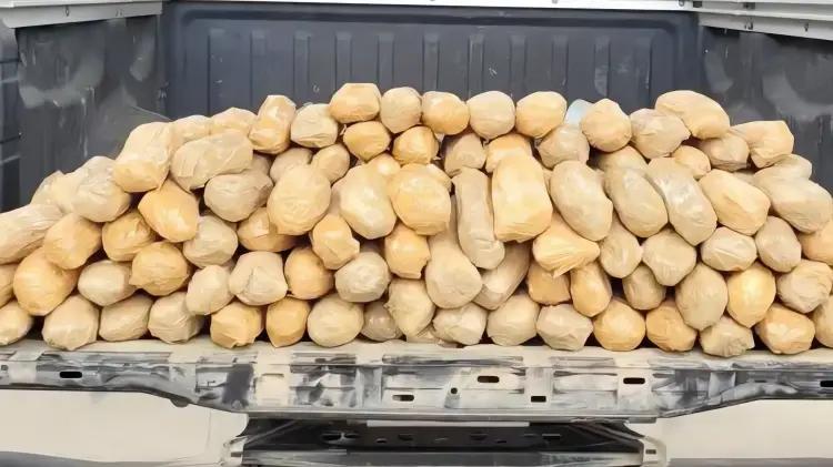 CBP decomisa más de medio millón de pastillas de fentanilo en garitas de Nogales