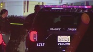 Man charged in stabbing deaths of wife, mother