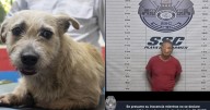 Capturan y golpean a un hombre por abuso sexual contra una perrita en Playa del Carmen