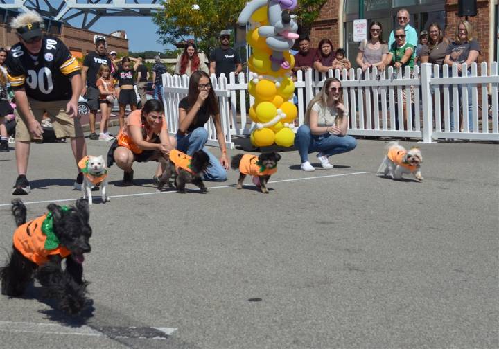 ‘Great pup-kin race’ brings together families for annual Fall Fest