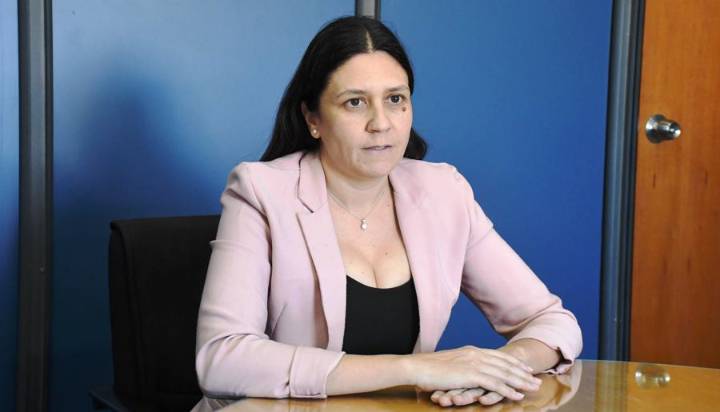 “El contexto actual es muy adverso para el sector industrial”