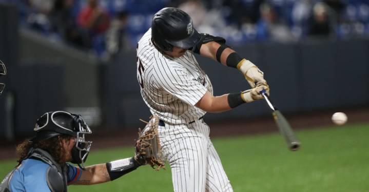 The Yankees’ Hudson Valley Renegades are in a head-to