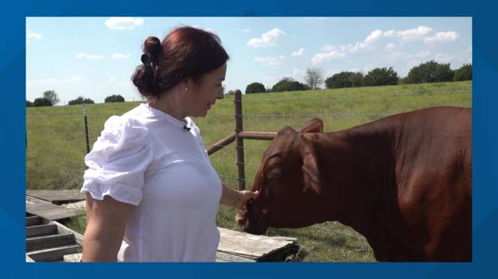 'I'm so blessed' | Widow preserves husband’s ranching legacy in Valley Mills