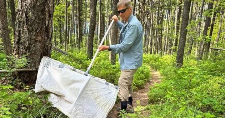 Tick tock: Ticks are migrating, raising disease risks across Montana