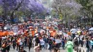 Bloqueos por Marcha Animalista en CDMX Hoy: Puntos Afectados por Protesta del 23 de Septiembre