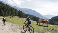 Castejón de Sos celebra la segunda edición de Puro Pirineo Gravel Pachamama