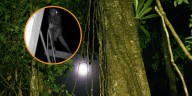 Captan en video a misterioso “duende” de la selva usando un puente en lo alto de la Amazonía peruana