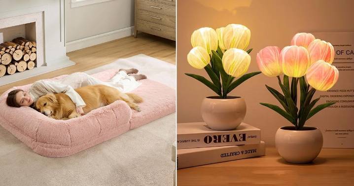 If You Like To Get A Little Weird, You'll Love These Bizarre But Brilliant Things On Amazon