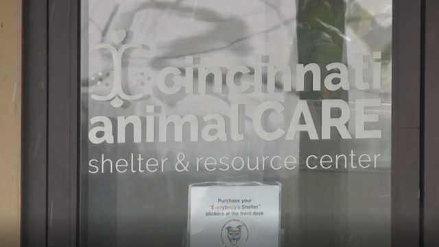 Cincinnati Animal CARE celebrating five years with inaugural fundraiser