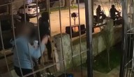 Mar del Plata: un hombre disparó a cuatro motochorros que quisieron robarle a su mujer (video)