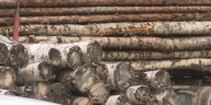 How mill closures are affecting the local logging industry