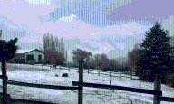 Cámara testigo: nieve en Potrerillos en el comienzo de la primavera