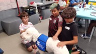 Animal Samaritans expands thanks to Community Foundation grant