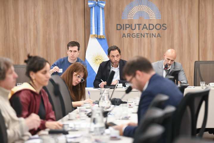 Caso $LIBRA: dos funcionarios faltaron a la comisión investigadora en Diputados