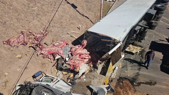 Un camión con carne volcó en Mendoza y la gente intentó llevarse las medias reses