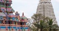 Stampede at political rally in southern India kills 36 including 8 children