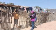 Censo Nacional 2025 alcanza el 49,1% de avance en viviendas empadronadas, señala INEI 