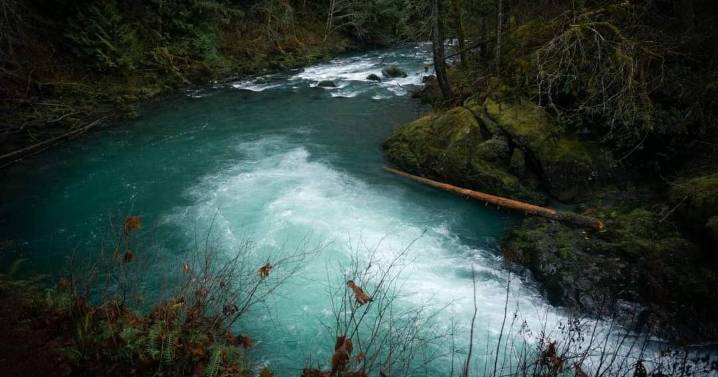 Washington National forests threatened by new federal rulemaking, attorney general says