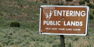 Arizona forest advocates concerned federal protection rule may be eliminated