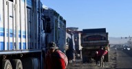 Camiones varados por la escasez de combustibles: la paralización que golpea la economía boliviana