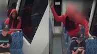 Divulgan el video del asesinato de una joven ucrania a manos de un homeless en el metro de Charlotte