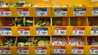 School supply prices soar 7.3% amid tariffs as parents face back