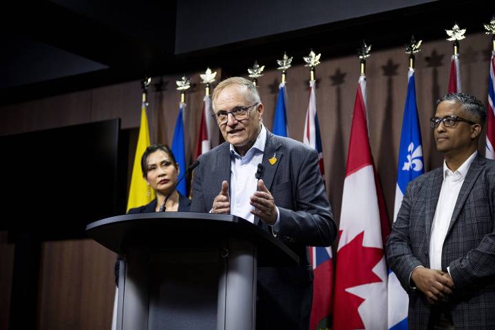 Former MPs launch volunteer effort to renew NDP ahead of leadership race
