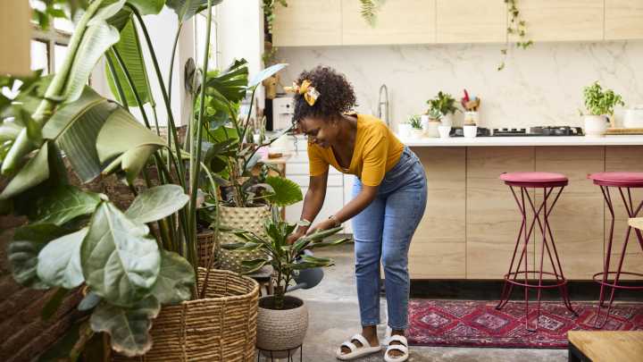 The Perennial Houseplant That's Almost Impossible To Kill (No Green Thumb Required)