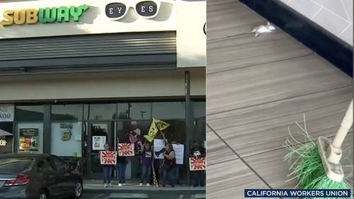 Eagle Rock Subway closed after workers say restaurant has rat infestation