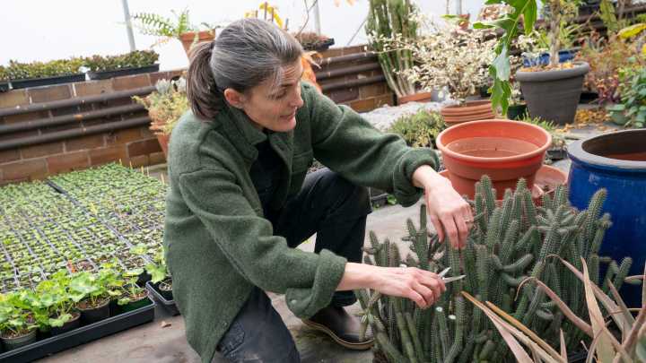 Graye's Greenhouse rallies support to build shops, trails, greenspace