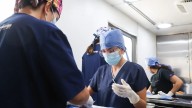 ¡Leo Montañez impulsa jornada de salud animal: Ya son más de mil mascotas esterilizadas en lo que va del 2025!