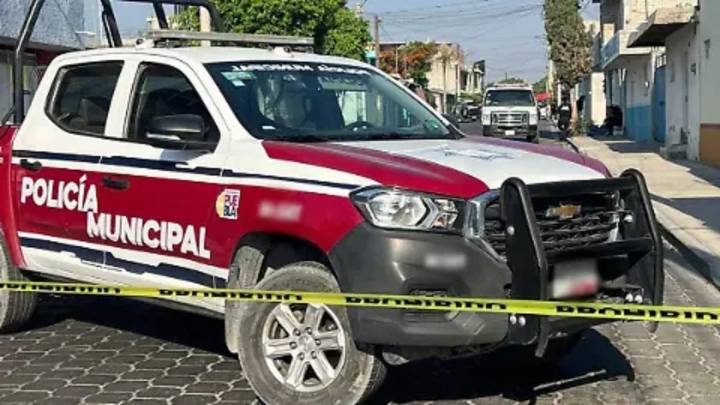 Alerta. Localizan restos de feto devorado por animales en la vía pública en Amozoc