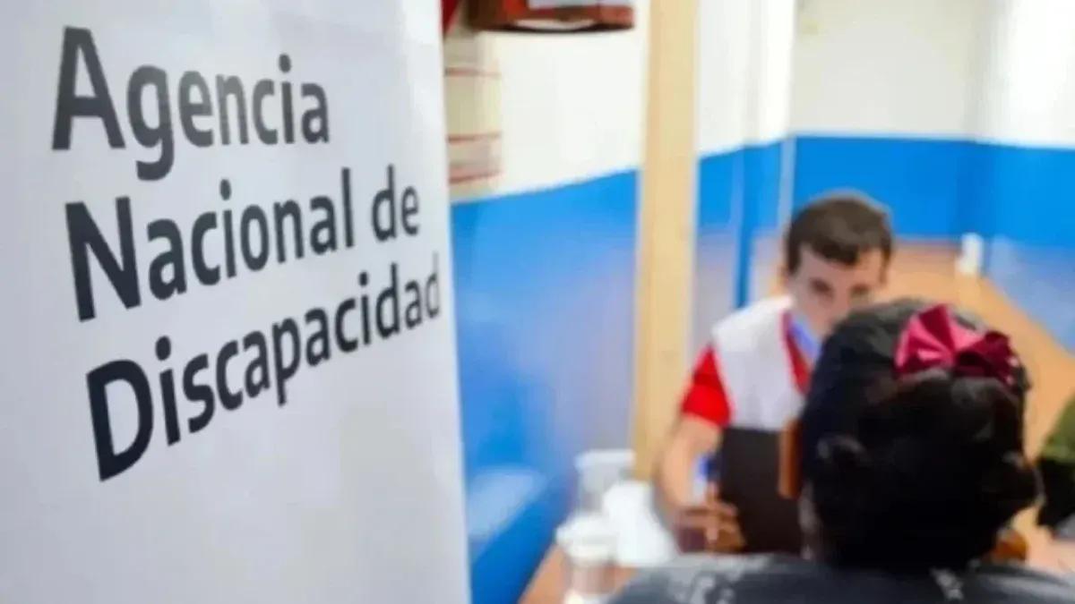 ANDIS: qué es y cómo funciona el organismo que quedó en el centro de la tormenta