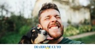 Estas son las mejores razas de perros para dueños primerizos