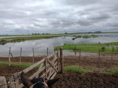 Prorrogan el estado de Emergencia y Desastre Agropecuario para 9 de Julio